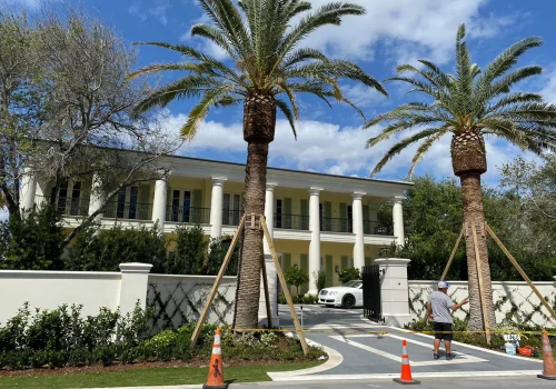 imageye___-_imgi_5_west-palm-beach-entrada-cuelllar-stone